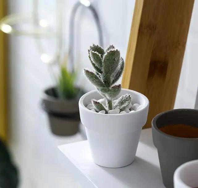 Vaso Nórdico para Flores